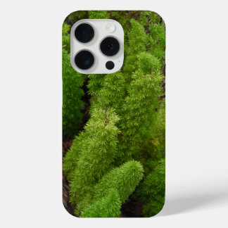 Green Fern Stalks iPhone 15 Pro Case