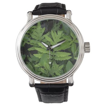Green Fern Watch by llaureti at Zazzle