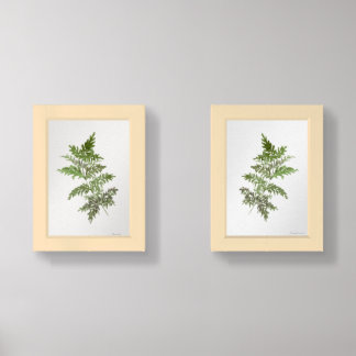 Green Fern Watercolor Botanical Art Print Set