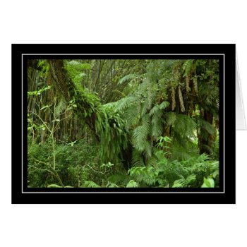 Green Ferns And Palm Trees Blank Card by LivingLife at Zazzle