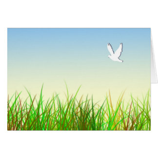 Green field with White dove Cards