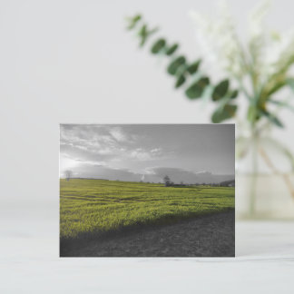 Green Fields Postcard