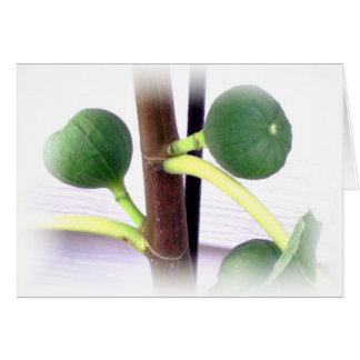 green figs cards