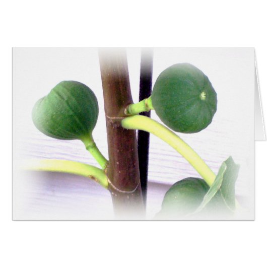 green figs cards (Front Horizontal)