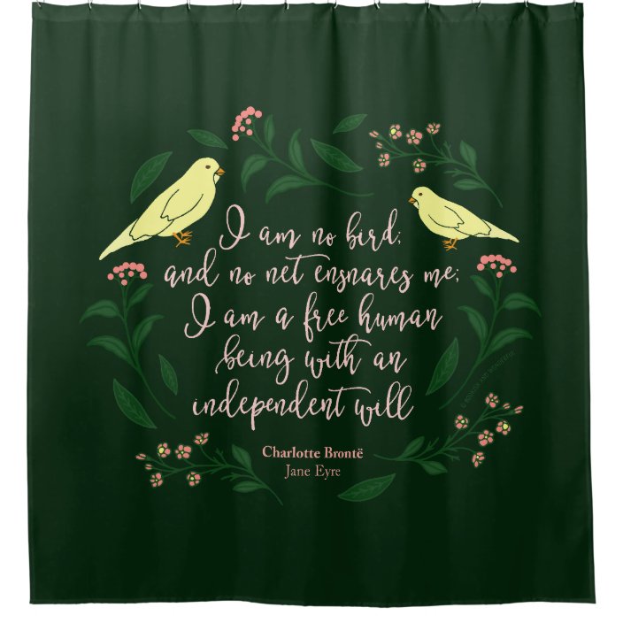 Jane Eyre Bird Imagery Quotes - IMAGECROT
