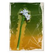 Green Flower (Front)