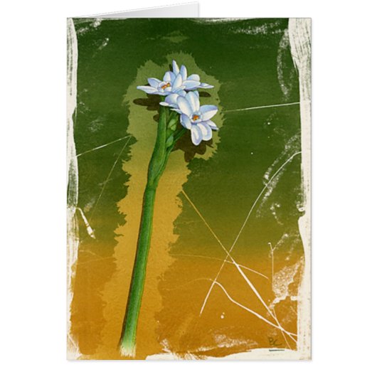 Green Flower Cards (Front)