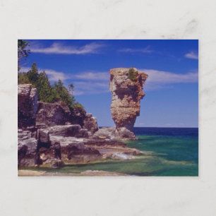 Green Flowerpot Island, Tobermory flowers Postcard