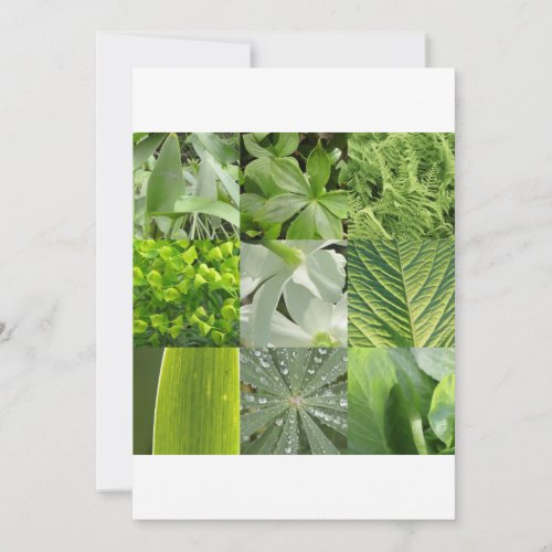 Green Flowers Invitations