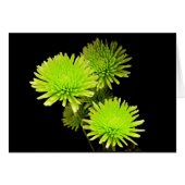 Green Flowers (Front Horizontal)