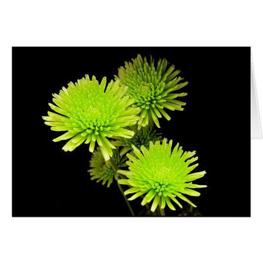 Green Flowers Cards (Front Horizontal)