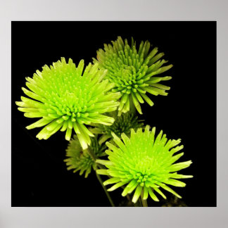 Green Flowers Print / Poster