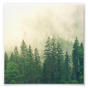 Green Foggy Rocky Mountains Colorado USA Adventure Photo Print