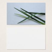 green foliage (Front & Back)
