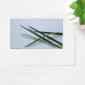 green foliage (Desk)