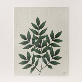 Green Foliage | House Plants Jigsaw Puzzle