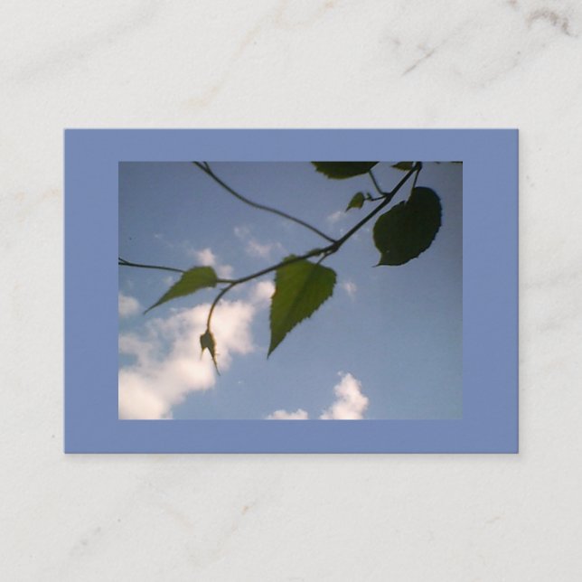 Green Foliage in Blue Sky Business Card (Front)