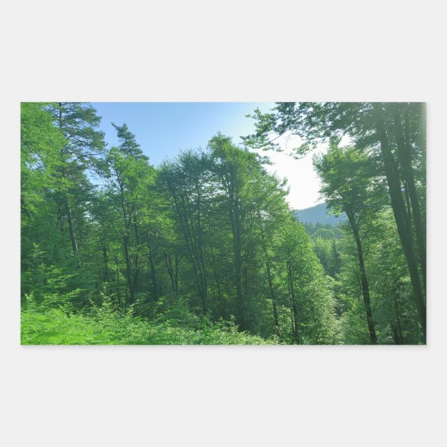 Green Forest Landscape Photography  Rectangular Sticker (Front)