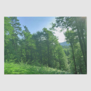 Green Forest Landscape Photography Tissue Paper