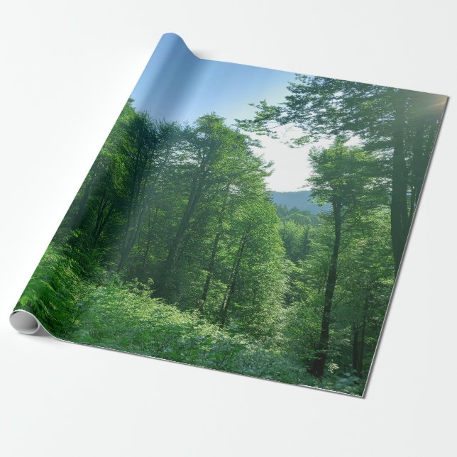 Green Forest Landscape Photography Wrapping Paper (Unrolled)