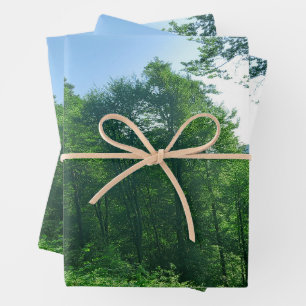 Green Forest Landscape Photography   Wrapping Paper Sheets