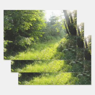Green Forest Meadow Wrapping Paper Sheets