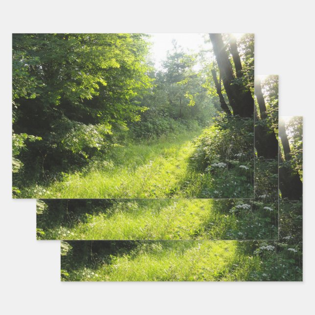 Green Forest Meadow Wrapping Paper Sheets (Set)