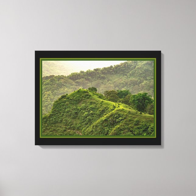 Green Forest On The Hill Canvas Print (Front)