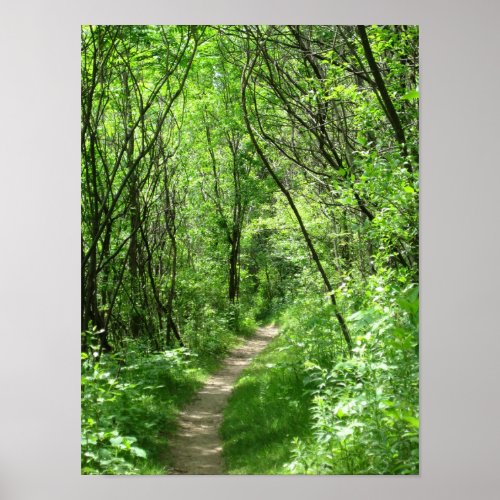 Green forest path poster