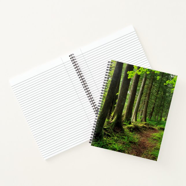 Green Forest Trail Scenic Notebook (Inside)