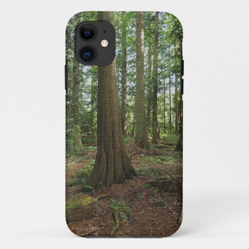 Green Forest Woodlands Tree Nature Photo iPhone 11 Case