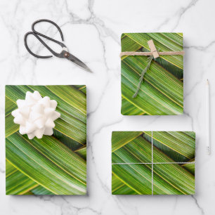 Green Fresh Bamboo Weave  Wrapping Paper Sheets