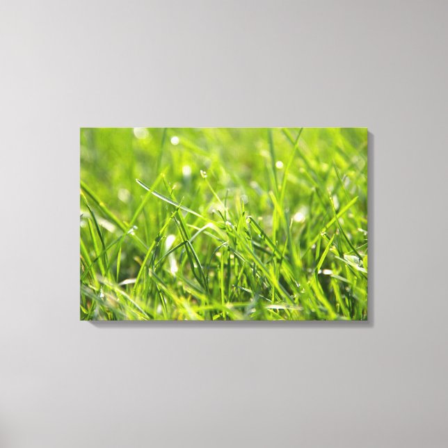 Green Fresh Morning Grass Canvas Print (Front)