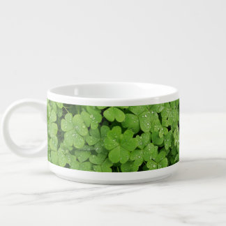 Green fresh shamrock, lucky St. Patricks clover  Bowl