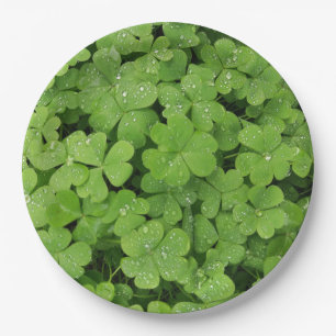 Green fresh shamrock, lucky St. Patricks clover Paper Plates