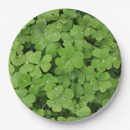 Green fresh shamrock lucky St Patricks clover Paper Plates