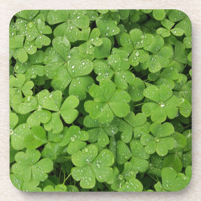 Green fresh shamrock, lucky St. Patricks pillow Beverage Coaster (Front)