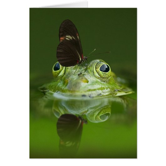 Green Frog and Butterfly Cards (Front)