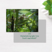 Green Frog ATC Photo Card (Desk)