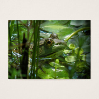 Green Frog ATC Photo Card