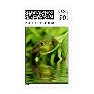 Green Frog by a Pond Postage
