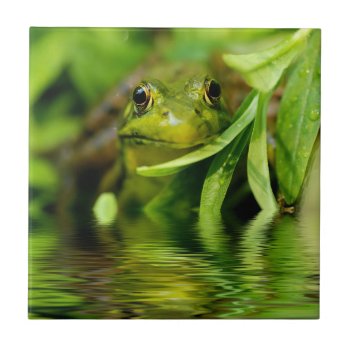 Green Frog By A Pond Tile by Meg_Stewart at Zazzle