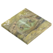Green Frog Camouflaged Against Weathered River Bed