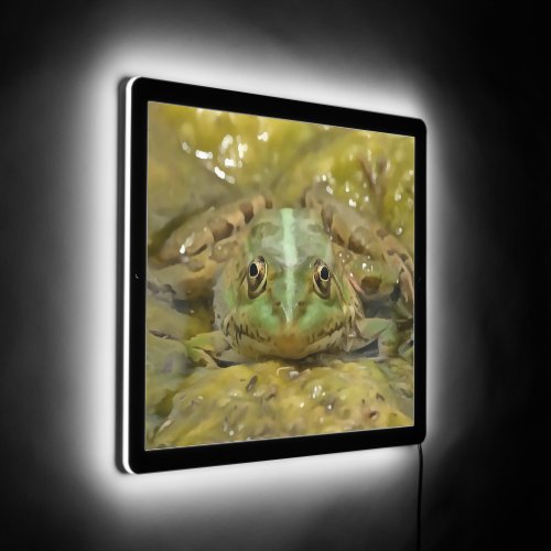 Green Frog Camouflaged Against Weathered River Bed LED Sign