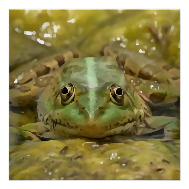 Green Frog Camouflaged Against Weathered River Bed Poster (Front)