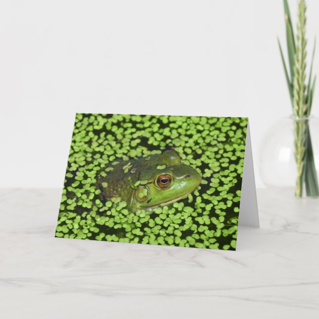 Green Frog Card (Front)