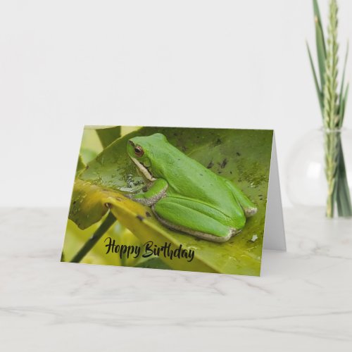 Green Frog Hoppy Birthday Card