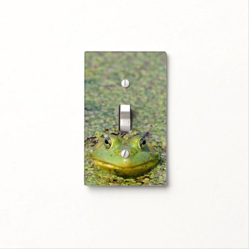 Green frog in duckweed Canada Light Switch Cover