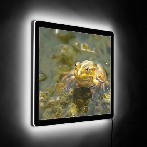 Green Frog In Shallow Water Acrylic Painting LED Sign