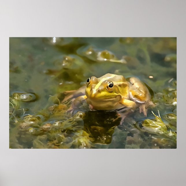 Green Frog In Shallow Water Acrylic Painting Poster (Front)